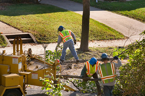 Best Lawn Irrigation Installation and Maintenance  in Pacific, WA